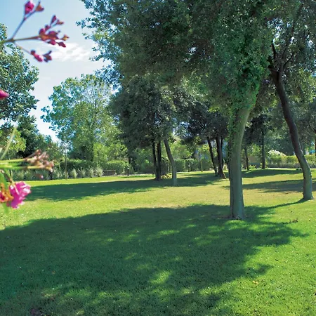 Th - Park 4* Tirrenia